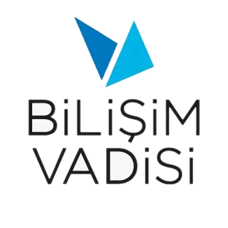 Bilişim vadisi